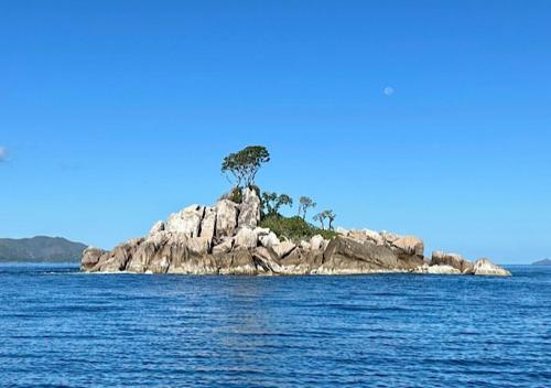 an island in the water with a tree on it at Château de feuilles & SPA - Praslin island in Baie Sainte Anne