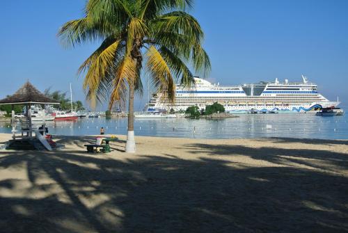 a cruise ship in the water with a palm tree at Beach Studio 4 in Ocho Rios