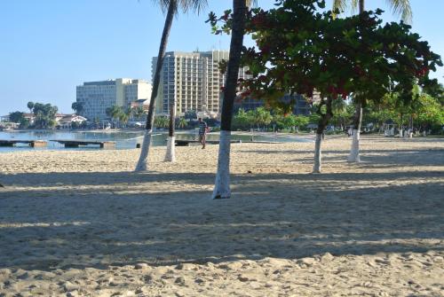 a group of palm trees on a sandy beach at Beach Studio 4 in Ocho Rios