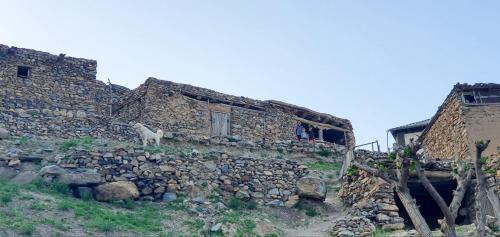 Фотография из галереи Asror`s homestay in Sentyab village в городе Nurota
