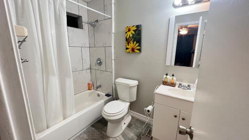 een badkamer met een toilet, een douche en een wastafel bij Amazing Bedroom Suite/Private Bathroom in Houston