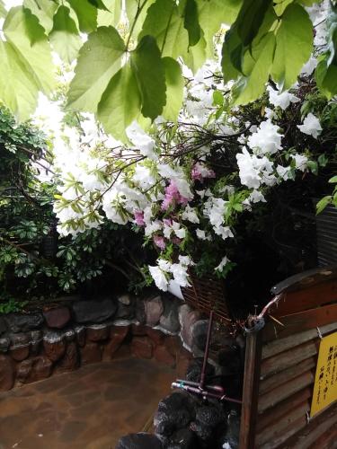 a bunch of flowers hanging over a bench at YOKOSO Ryokan in Beppu
