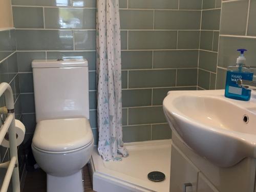 a bathroom with a toilet and a sink at Bullrushes in Horning