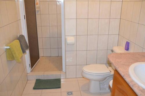 La salle de bains est pourvue de toilettes, d'une douche et d'un lavabo. dans l'établissement Papeete appartement F2, à Papeete