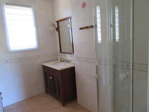 une salle de bain avec un lavabo, une douche et un miroir dans l'établissement Maison traditionnelle au coeur d'une ferme, à Besse