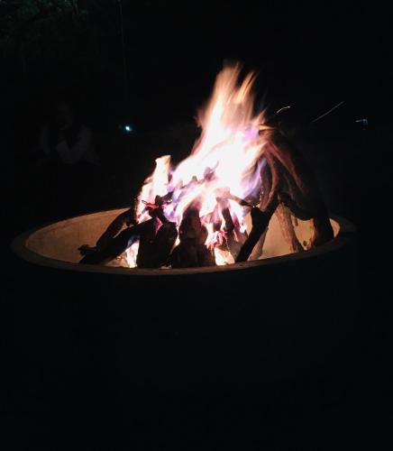 イェーラギリにあるCroft Yelagiri - glamping stayのギャラリーの写真