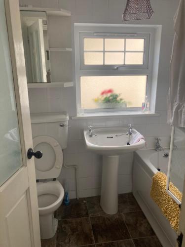 a bathroom with a sink and a toilet and a window at Kingsmills Cottages in Artrea