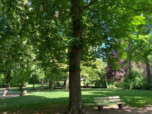 a park with a bench next to a tree at Gästehaus am Kurpark Hotel Garni in Horn-Bad Meinberg
