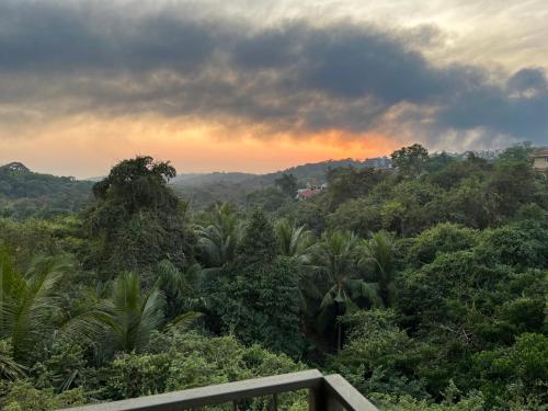 a view of a jungle with a sunset in the background at Hotel Casa De Patio in Porvorim