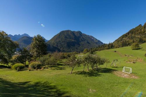a field with trees and a mountain in the background at Ela Apartments - 2 in Dovje