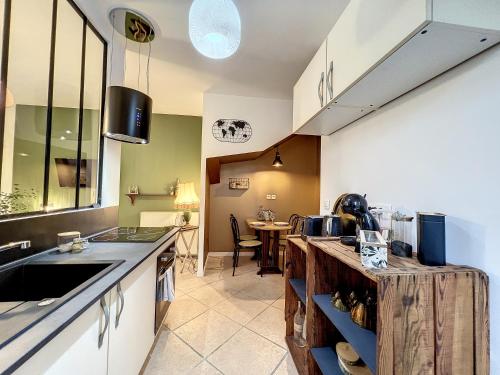 een keuken met een wastafel en een aanrecht bij Studio LA RECYCLERIE - Maison 1911 - confort & prestige in Gien