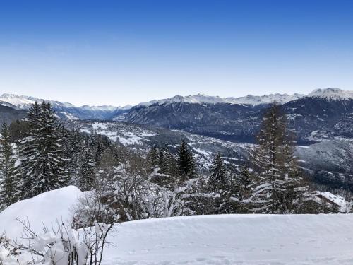 a snow covered mountain with trees and mountains at Tiny House facing the Alps - Ski in, Ski out in Anzère