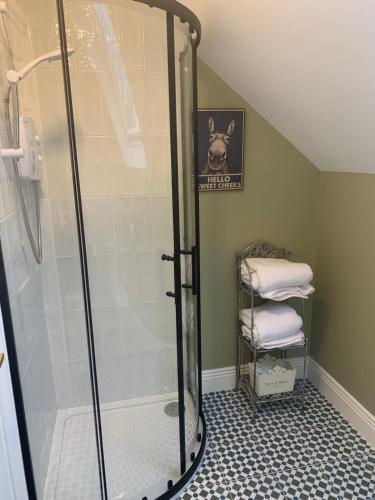 W łazience znajduje się prysznic ze szklanymi drzwiami. w obiekcie The Mews w mieście Newbridge