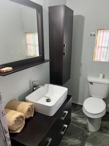 ein Badezimmer mit einem Waschbecken, einem WC und einem Spiegel in der Unterkunft Jamaica Colors Hotel and Eco-Retreat in Port Antonio