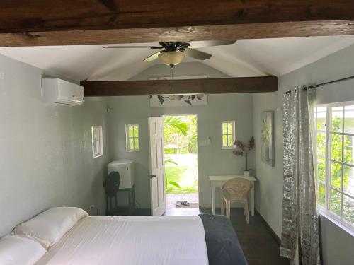 a bedroom with a bed with a ceiling fan at Jamaica Colors Hotel and Eco-Retreat in Port Antonio