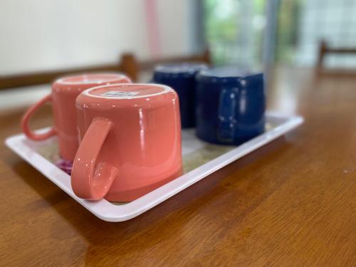 a tray with two red and blue cups on a table at D’Surati River View Homestay in Buang Sayan