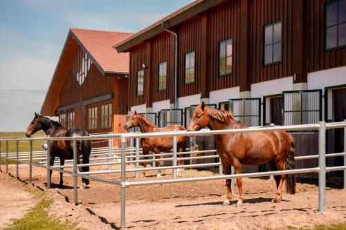 eine Gruppe von Pferden, die vor einem Gebäude stehen in der Unterkunft Frühstückspension Christinenhof in Dreieich