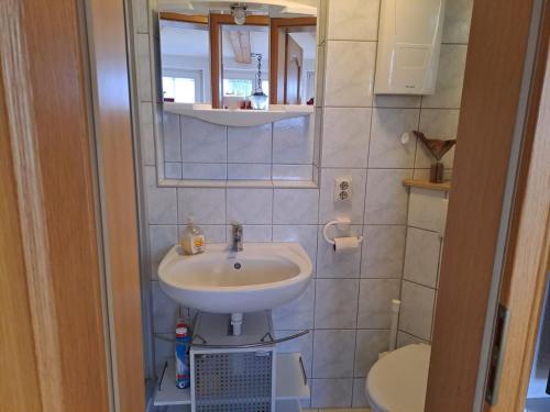 a small bathroom with a sink and a toilet at Darß Stuv in Born