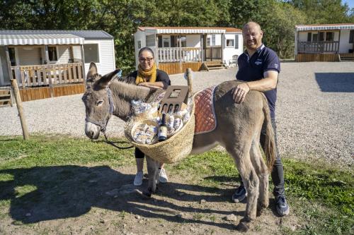 two men are standing next to a donkey at Camping de la ferme aux ânesses, mobil home sofia2 in Bressuire