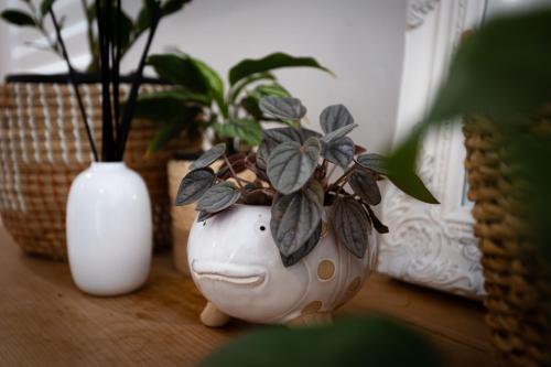 a white vase with plants in it on a table at Soulful Grande Manor with Mineral Pool in Millfield