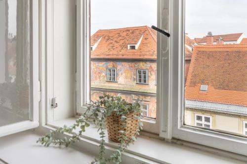 a window with a potted plant on a window sill at Beautiful Penthouse - City Center in Graz