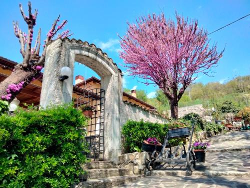 a tree with pink flowers in front of a building at Casale Mammarella in LʼAquila