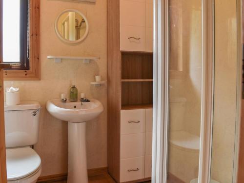 a bathroom with a toilet and a sink and a shower at The Shed in Woolfardisworthy