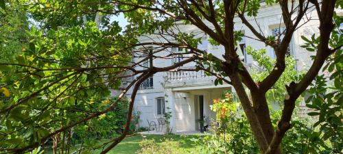 une maison blanche avec un arbre dans la cour dans l'établissement Villa Aigarden maison d'hôtes, à Avignon