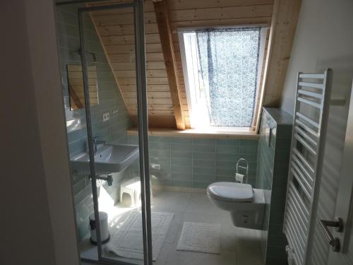 a bathroom with a toilet and a sink and a window at Ferienhaus Sandmohn in Kellenhusen