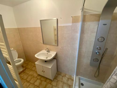 une salle de bain avec toilettes, lavabo et douche dans l'établissement Logement individuel circuit 24h du Mans ou autre, à Parigné-le-Pôlin
