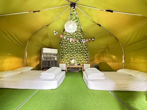 埔里にあるYCC Forest Campsiteのベッド2台とクリスマスツリーが備わる部屋