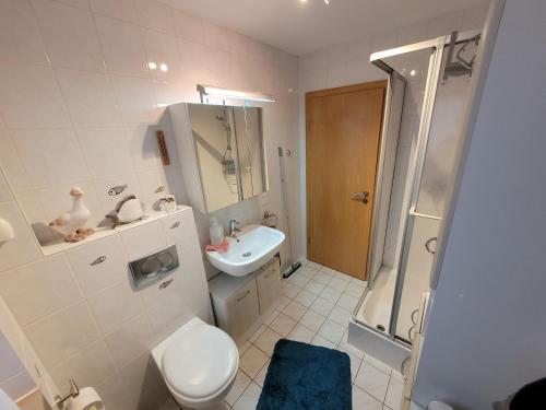 a bathroom with a toilet and a sink and a shower at Ferienwohnung am Pingenpfad in Merchweiler