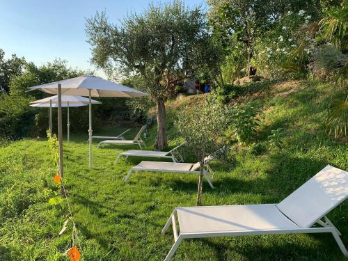 Zahrada ubytování Relais Il Pigno