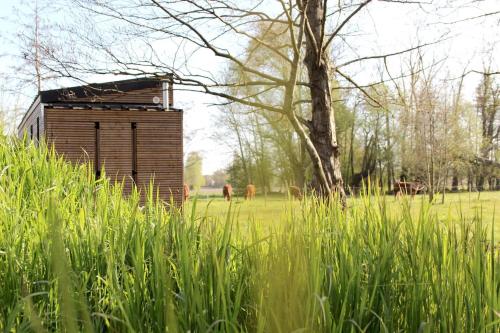 a woodenshed in a field with horses in the background at Nice and Slow : Eco-responsible tiny house 