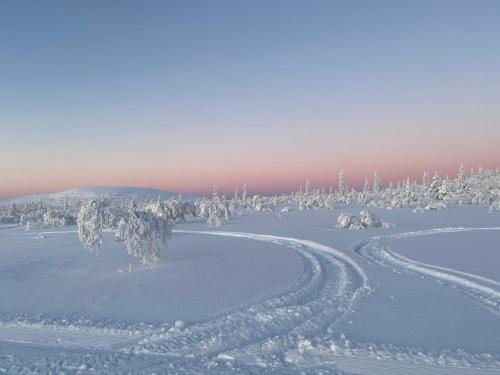 a snow covered forest with tracks in the snow at Nybyggd 8-bäddars skidstuga i Lofsdalen in Lofsdalen