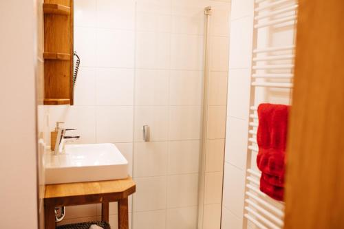 uma casa de banho branca com um lavatório e um chuveiro em Ferienhof Leopold in der Grub em Ort