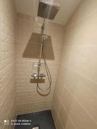 une douche avec pommeau de douche dans une salle de bain dans l'établissement Meublé 3* neuf entre lacs, montagnes et bauges., à Mûres-les Balmettes