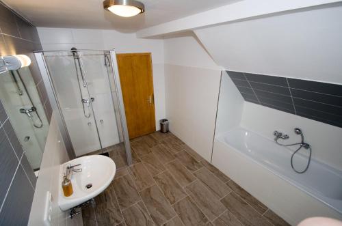 een badkamer met een wastafel, een douche en een toilet bij David Appartments in Mauterndorf