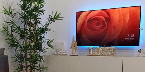 Televisyen dan/atau pusat hiburan di Apartamento Catamarán