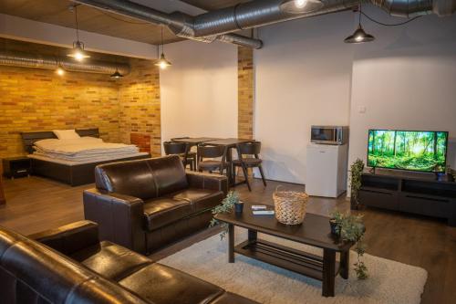 a living room with a couch and a bed and a tv at Niki Apart Pension in Gheorgheni