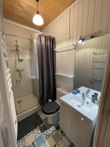 a bathroom with a sink and a shower and a toilet at Appt lumineux centre ville du Mont Dore Vue Sancy in Le Mont-Dore