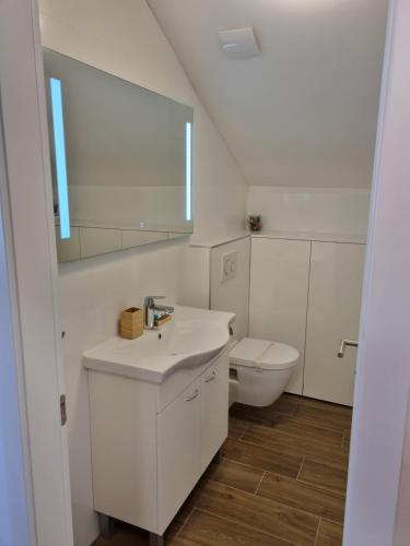 Kúpeľňa v ubytovaní Apartments Jungic, Rab