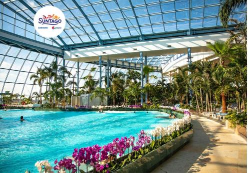 a swimming pool at a resort with purple flowers at Gościniec Kuklówka in Kuklówka