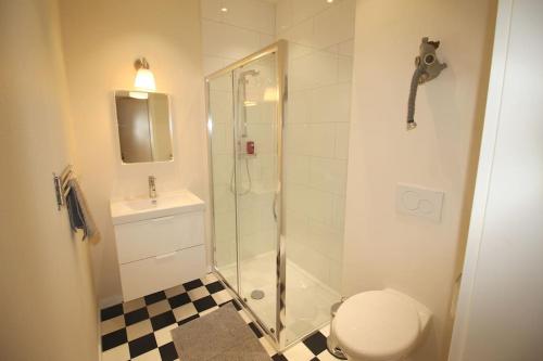 a bathroom with a shower and a toilet and a sink at Appartement 3 chambres en plein centre ville in Liège