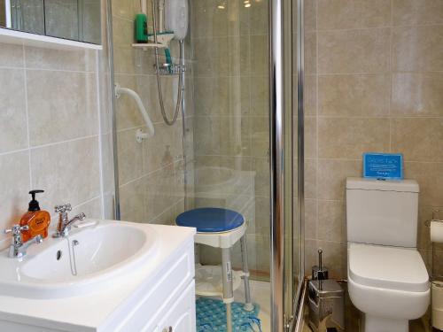 a bathroom with a shower and a sink and a toilet at Brookside in Ellingham