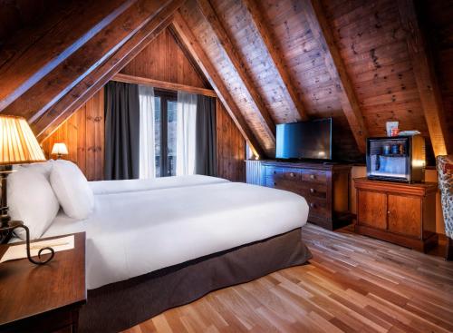 a bedroom with a bed and a tv in a room at Meliá de Tredós in Tredós