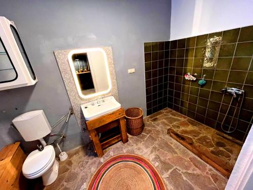 a bathroom with a toilet and a sink and a shower at Dömörkapu Rengeteg Vendégház in Szentendre
