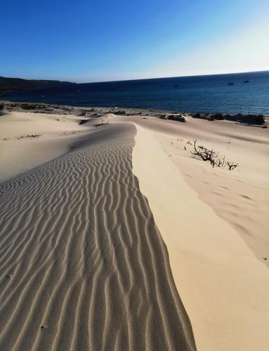 a beach with ripples in the sand and water at Casa Flavio in Porto Pino