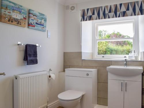 a bathroom with a toilet and a sink and a window at Tyn Y Coed in Bettws-Evan