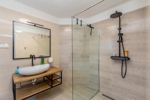 łazienka z umywalką i prysznicem w obiekcie Villa LIO with private pool w mieście Linardići